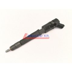   Iveco Daily, Fiat Ducato, Peugeot Boxer, Citroen Jumper injector 3.0