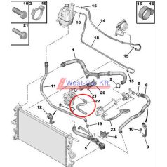   water hose Citroen Jumper Peugeot Boxer 06- 2.2HDI PUMP original number: 1323T1