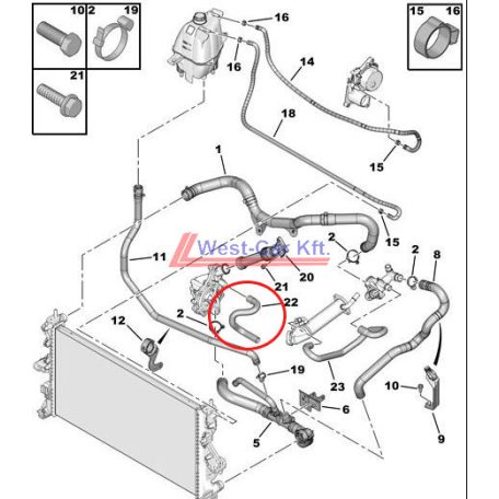 water hose Citroen Jumper Peugeot Boxer 06- 2.2HDI PUMP original number: 1323T1