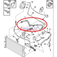   2006-> Ducato Jumper Boxer 2.2 hdi cooler water hose upper Original number: 1343JP