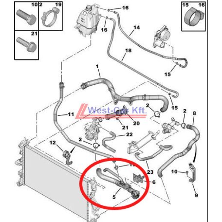 2006-> Peugeot Boxer Citroen Jumper  water hose lower 2.2HDI original number: 1351PK