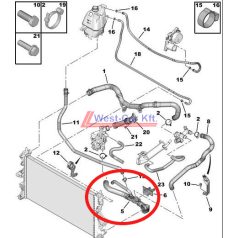   2006-> Peugeot Boxer Citroen Jumper  water hose lower 2.2HDI original number: 1351PK