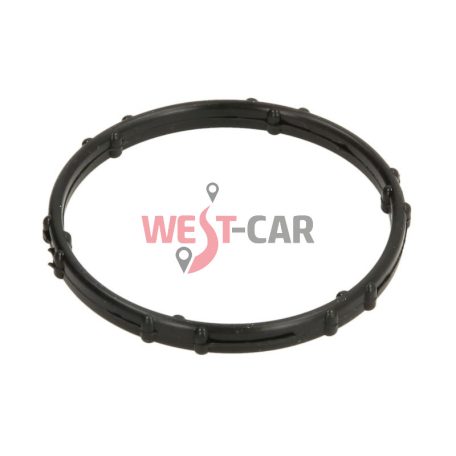 Part number: 110625423R Renault / Nissan original part