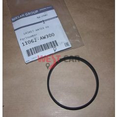 Part number: 11062AW300 Renault / Nissan original part