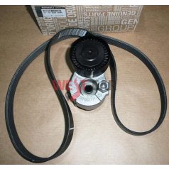 Cikkszám:  117203694R Renault/Nissan Gyári alkatrész