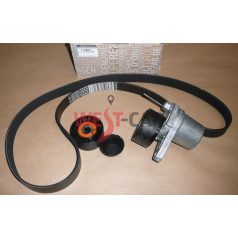 Cikkszám:  117209256R Renault/Nissan Gyári alkatrész