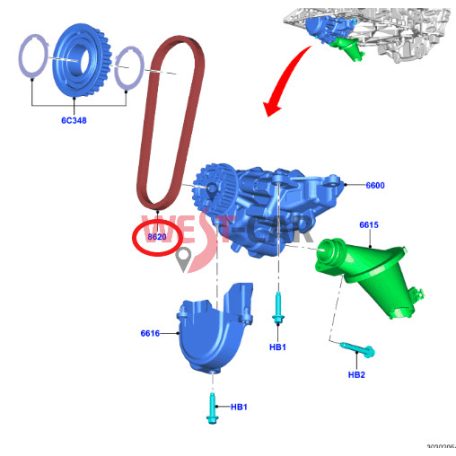 2014-> Ford Transit 2.0 Ecoblue oil pump belt OE: 2011555