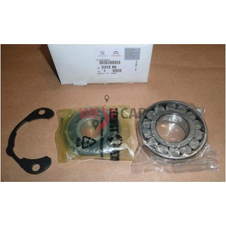 Transmission bearing Citroen Jumper Peugeot Boxer  06-  original number:237285