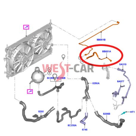 2016-> Ford Transit 2.0 ecoblue Expansion Tank Overflow Hose Part Number: 2501590