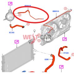   2014-> Ford Transit 2.2 Puma kiegyenlítő tartály túlfolyó cső Gyári szám: 2548261
