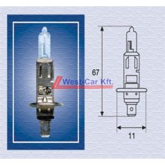 Magneti Marelli H1 12V 55W light bulb +50% brightness